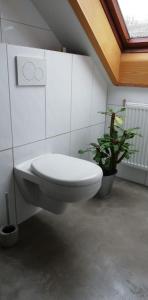 Un baño con inodoro y una planta en maceta. en FW Achterdeck, 1 Obergeschoss, Petershof-Lehbek, en Gelting 20 fotos más