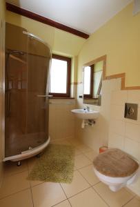 a bathroom with a shower and a toilet and a sink at Apartment 4 in Rewal +9 photos