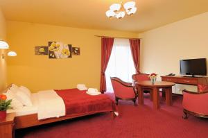 TV a/nebo společenská místnost v ubytování Hotel Na Błoniach