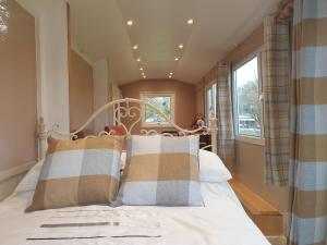 Riverside Cabin in Shropshire في أوسويستري: غرفة نوم بسرير ومخدات ونافذة