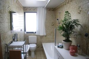 a bathroom with a tub and a toilet and a plant at Gästehaus 24 in Grettstadt