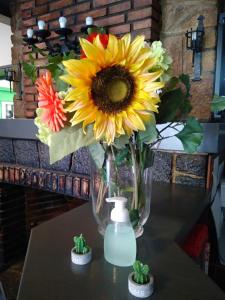 Fotografie z fotogalerie ubytování Hostal San Andrés v destinaci Soria