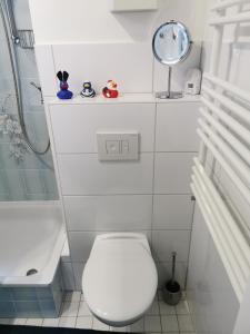 a white bathroom with a toilet and a shower at Fewo-Harz-Uraub in Altenau +12 photos