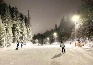 a group of people skiing down a snow covered slope at night at Apartman Srebrena lisica - Babin do Bjelašnica Free Garage - Kanton Sarajevo in Bjelašnica