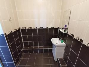 een badkamer met een wastafel, een toilet en een spiegel bij Premium Hotel in Izmail