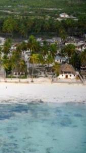 a view of a beach with palm trees and a house at The Loft Zanzibar Kikadini Beach in Jambiani