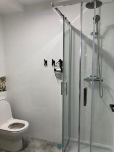 La salle de bains est pourvue de toilettes et d'une douche en verre. dans l'établissement Apartament Swobodna No.2, à Sosnowiec
