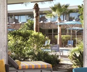 eine Terrasse mit Stühlen und Palmen sowie ein Gebäude in der Unterkunft Hotel Valley Ho in Scottsdale