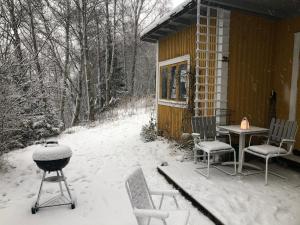 Apple tree cabin with river views talvel