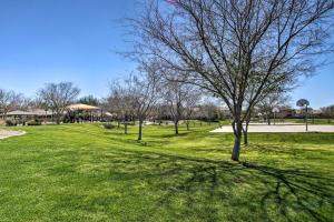 a tree in a field of green grass at Game Room and Pool Spacious Queen Creek Home! in Queen Creek