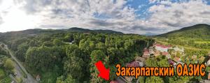 Příroda nedaleko hotelu