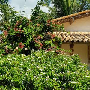 Zahrada ubytování Pousada Villages Boutique Hotel - 150m da Praia da Laje
