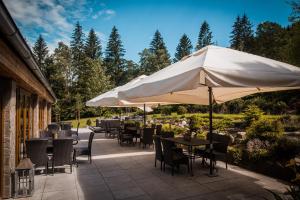 Restaurace v ubytování Hotel & Garden U Holubů