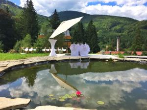 Příroda nedaleko hotelu
