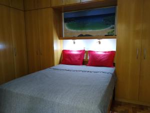 a bedroom with a bed with two red pillows at Aconchegante ao lado do shopping com garagem e Wifi in Teresópolis