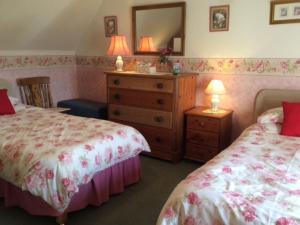 a bedroom with two beds and a dresser and a mirror at Holiday Home Leduckie by Interhome in Riechip