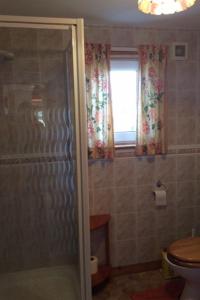 a bathroom with a shower with a toilet and a window at Holiday Home Leduckie by Interhome in Riechip