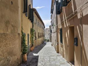 un callejón entre edificios en un casco antiguo en Ampio bilocale nel centro storico Castiglione della Pescaia en Castiglione della Pescaia