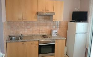 Kuchyň nebo kuchyňský kout v ubytování Apartments Lopar (893)