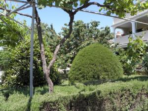 Zahrada ubytování Apartments Lopar (893)