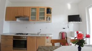 Kuchyň nebo kuchyňský kout v ubytování Apartments Lopar (893)