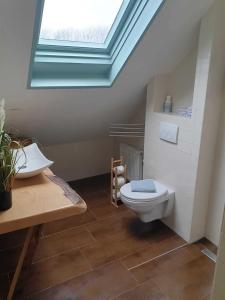 a bathroom with a toilet and a skylight at Zeelui in Egmond aan Zee