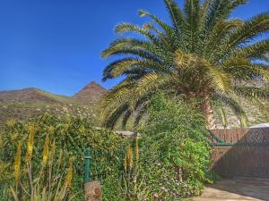 a palm tree in front of a fence with plants at Casas Blancas - Suite 3 in Tasartico