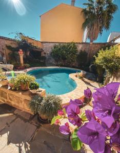 una piscina con plantas en un patio en VTAR Casa las Tinajas, en Baeza