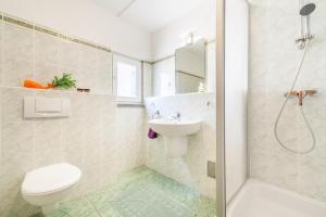 łazienka z toaletą, umywalką i prysznicem w obiekcie Apartment in Kustici with Seaview, Balcony, Air condition, WIFI (3589-1) w mieście Kustići +37 zdjęć