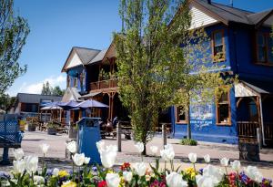 Gallery image of The Blue Pub in Methven