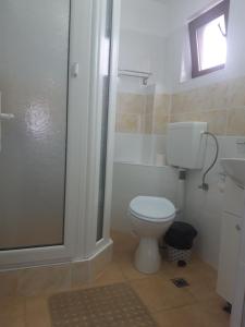 La salle de bains est pourvue de toilettes, d'un lavabo et d'une douche. dans l'établissement Vila Lavinia, à Buşteni