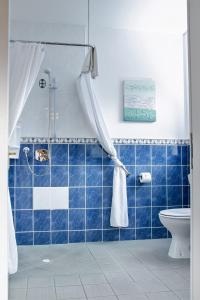 e bagno piastrellato blu con doccia e servizi igienici. di Killaran House a Killarney