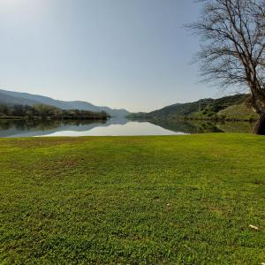 ein Grasfeld neben einem Wasserkörper in der Unterkunft Casa Cabanas do Douro in Torre de Moncorvo