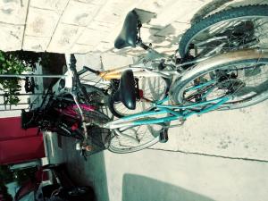 Jazda na bicykli v okolí ubytovania Apartment in Preko with Terrace, Air conditioning, Wi-Fi, Washing machine (4568-4)
