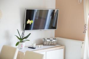 Televízia a/alebo spoločenská miestnosť v ubytovaní House Lopar (73)