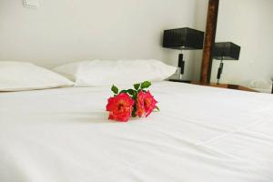 Kép Peggy's lux apartment szállásáról Karavómiloszban a galériában