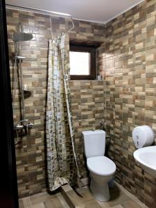 La salle de bains est pourvue de toilettes et d'un lavabo. dans l'établissement Pensiunea Drumul Iancului, à Vidra