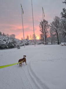 Skogsbrynet B&B, Bredsjö Nya Herrgård durante l'inverno