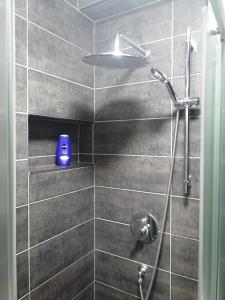 a bathroom with a shower with a blue soap dispenser at Small (34m2) modern apartment with parking place in Sarajevo