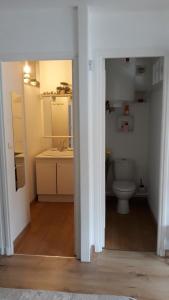 uma casa de banho com um WC e um lavatório em Studio "Normandise" em Le Tréport