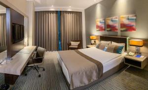 安卡拉欧斯蒂姆帕克商务酒店的一间酒店房间，配有一张大床和一张书桌