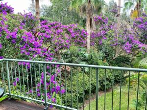 Ảnh trong thư viện ảnh của Superb Villa in Beach Resort ở Coffs Harbour +21 ảnh