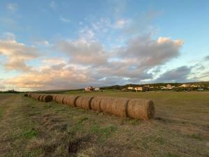 a row of hay bales in a field at Fun Cows in Eluan