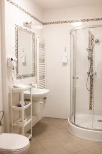 a bathroom with a shower and a toilet and a sink at Zamkowa, Pokoje Gościnne in Kazimierz Dolny
