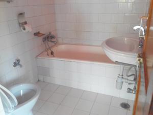 a bathroom with a pink tub and a sink at Hotel Fishtail Villa in Pokhara
