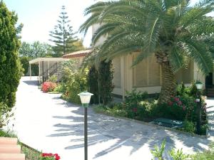 eine Palme und ein Straßenlicht vor einem Haus in der Unterkunft Villa Primavera in Villa San Pietro