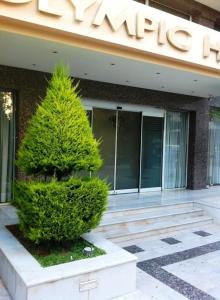 a tree in front of a building with a sign at Olympic Hotel in Piraeus