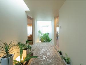 Fotografie z fotogalerie ubytování Condominium T-Room v destinaci Jima