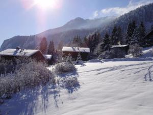 um campo coberto de neve com uma casa e árvores em Apartma mit Seeblick em Sankt Gilgen