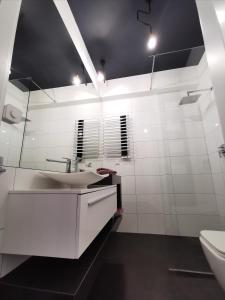 La salle de bains blanche est pourvue d'un lavabo et de toilettes. dans l'établissement MAXX, à Bielsko-Biała